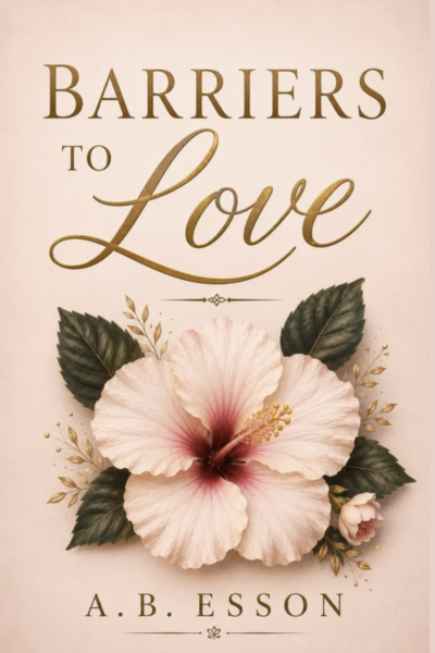 Barriers to Love cover
